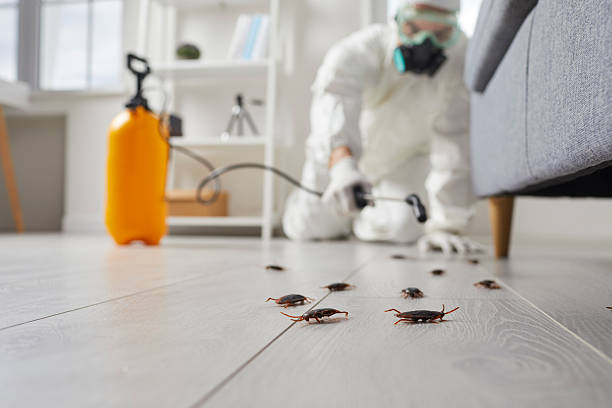 Commercial Kitchen Cockroach Control in Elsberry